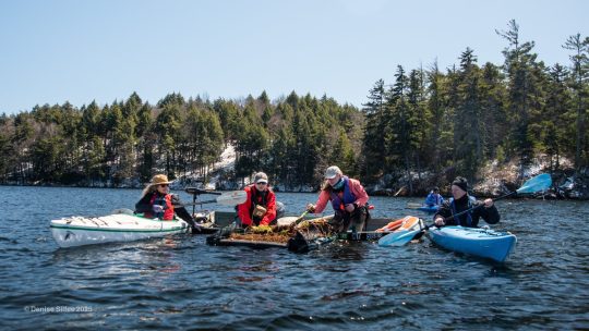 Boat driver on the water with nest rafts