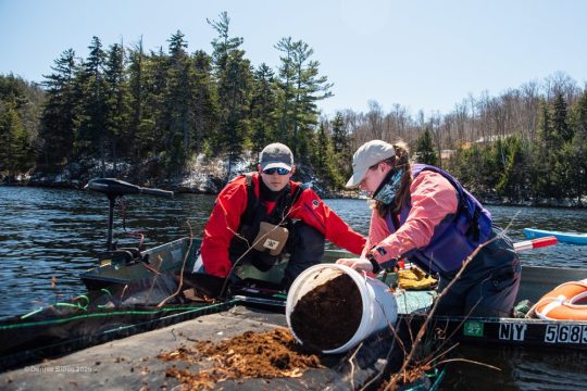 People give a nest raft more dirt