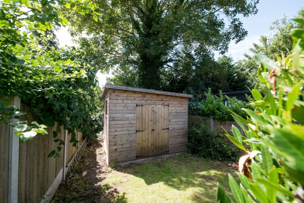 B&M sells a stylish £ 10 purchase that gives every garden fence privacy in centimeters in centimeters