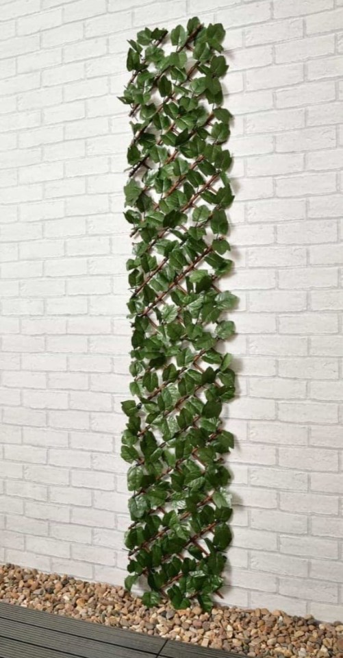 Artificial ivy leaf slingshot against a wall.