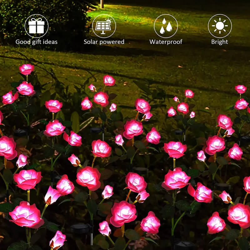 Walmart sells "beautiful" floweral lights of 60 US dollars for only 20 US dollars, and buyers say that they look "incredible" at night