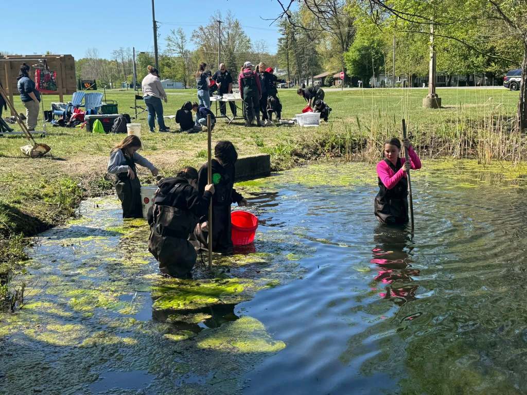 Clay Township students take part in an annual bioblitz - the voice
