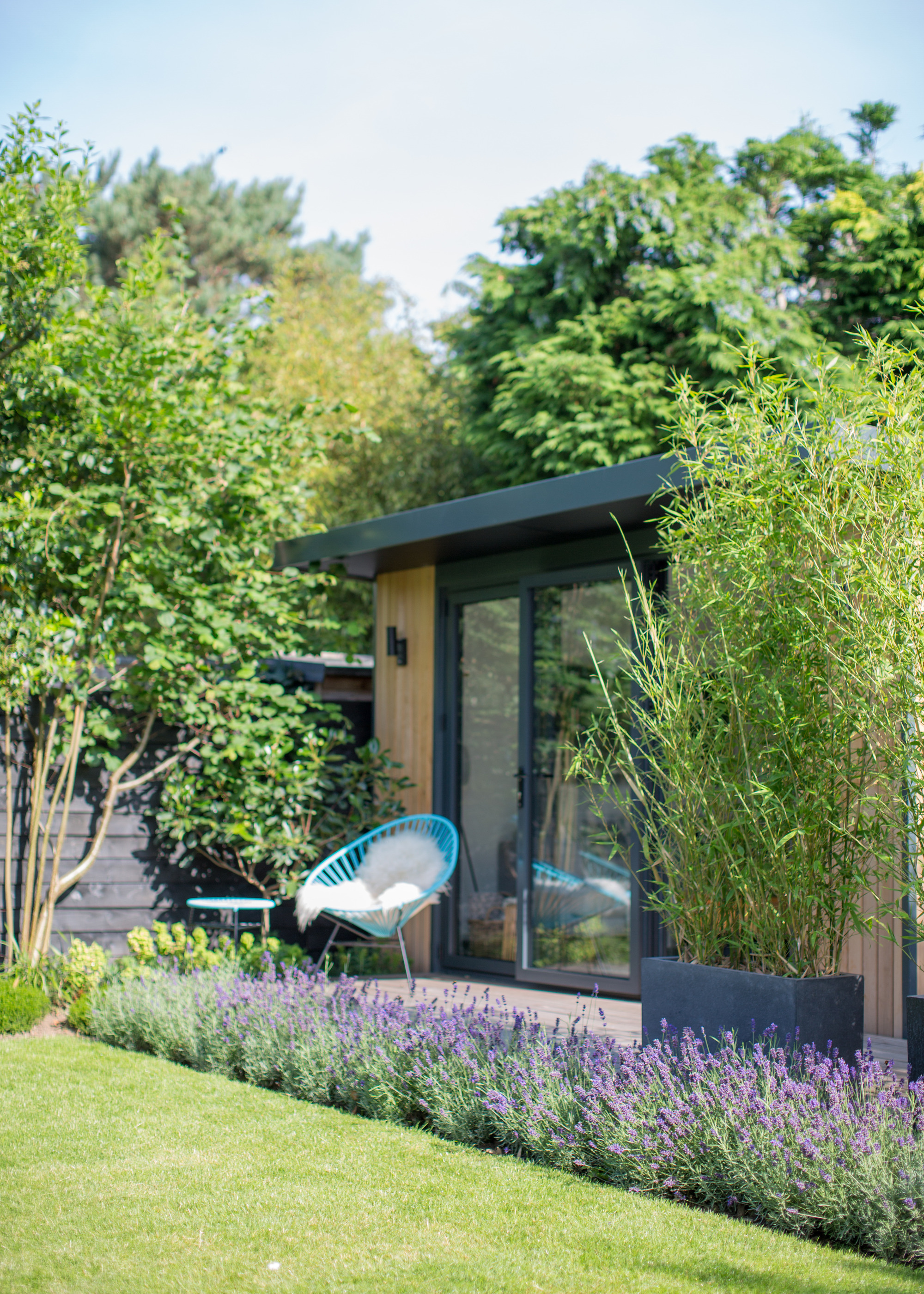 Lavender from a terrace of a garden. There is also a terrace chair that is placed outside on the deck.