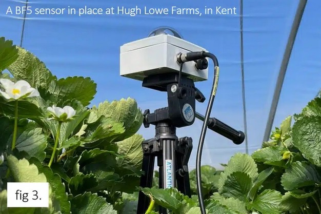 Use of a sun sensor to support the cultivation process
