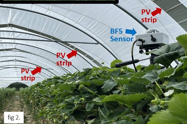 Use of a sun sensor to support the cultivation process