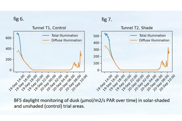 Use of a sun sensor to support the cultivation process
