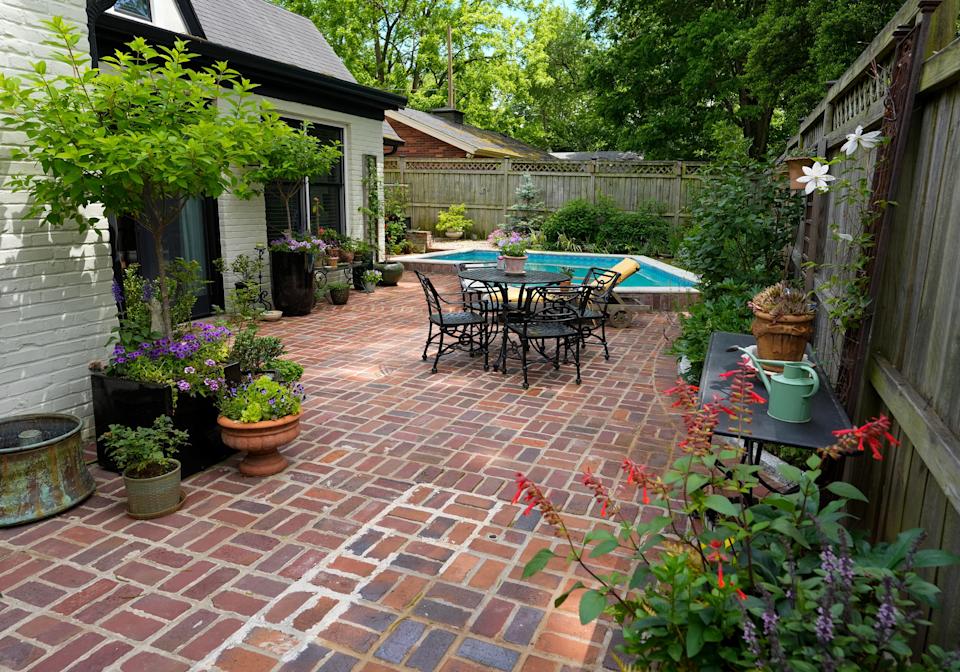 Julie Johnson's garden in the Crescent Hill. May 22, 2025