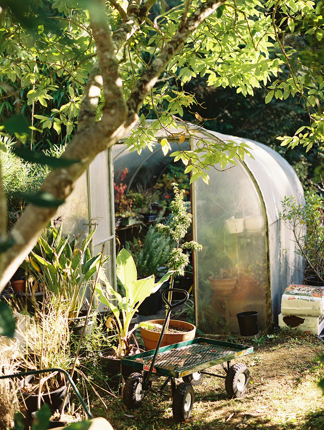 Garden shed