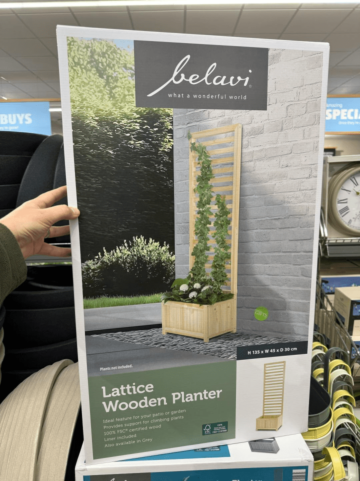 Box shows a Belavi grille wood planter.