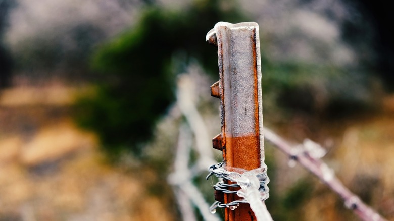 T-post in wire wrapped in the sunny field