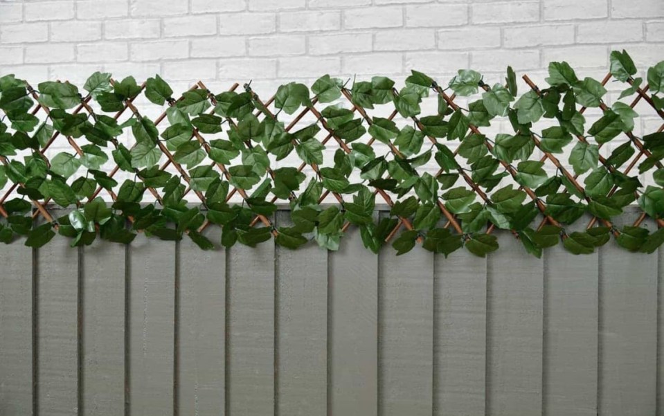 Artificial ivy leaf slingshot on a gray fence.
