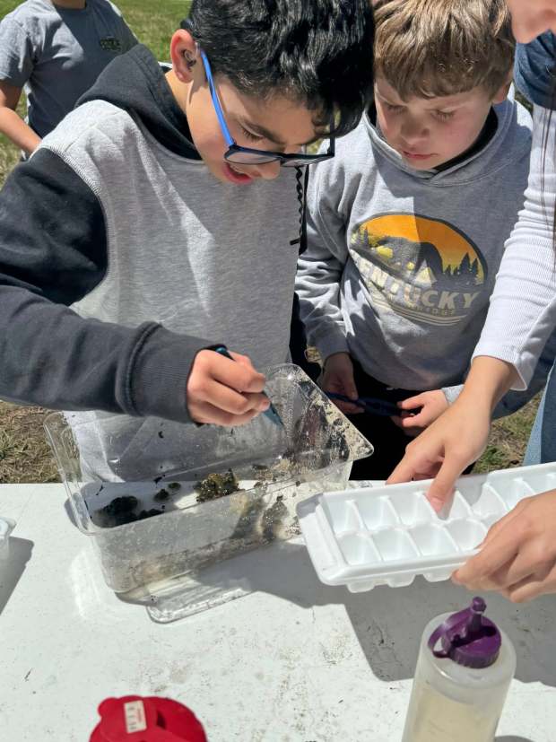 The annual bioblitz is an exploration of the Schoolyard ecosystem outdoors. (With the kind permission of Nikki Degowske/Facebook)