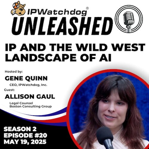 IP rights and the wild western landscape of KI