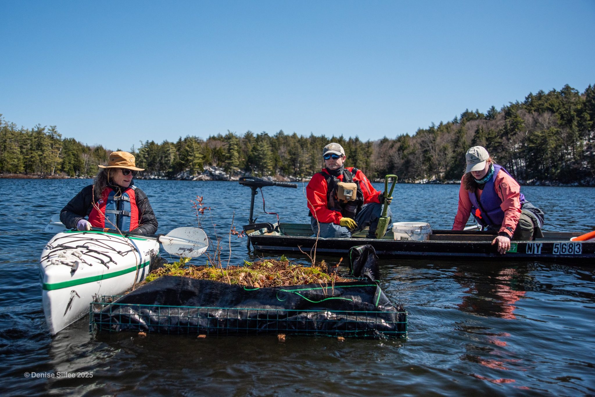 People install nest flickers for loons