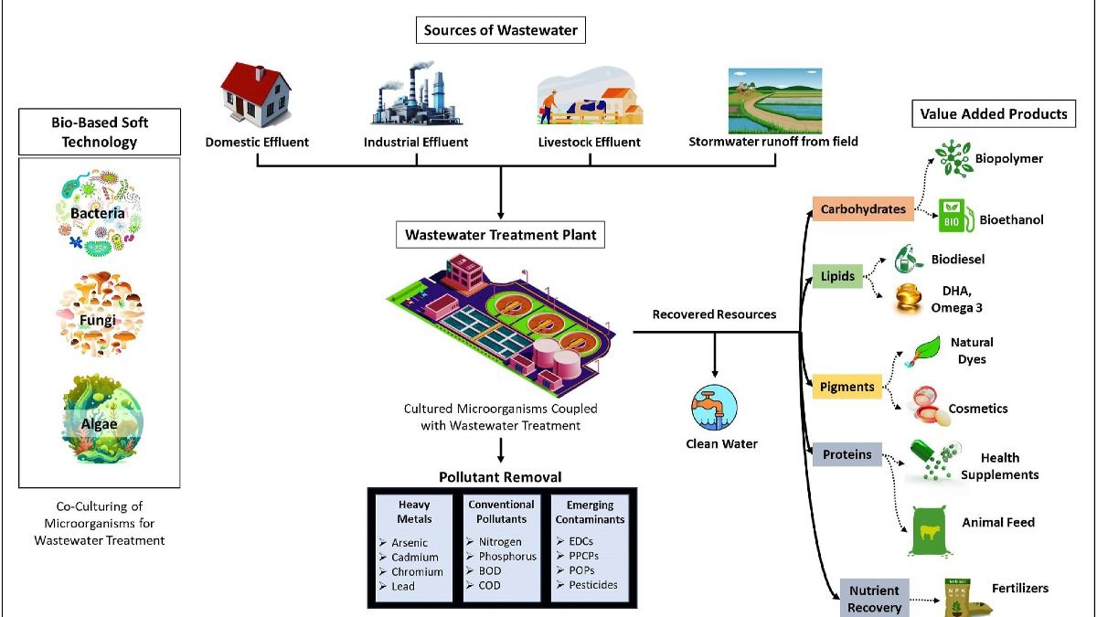 Nagaland University develops Öko-Tech to convert wastewater into clean resources