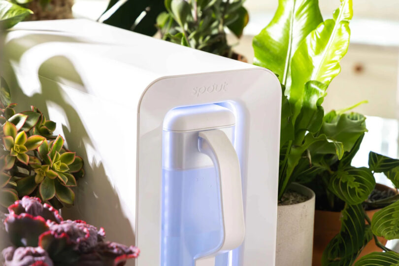 A white water filtration system with a glowing blue light is located in the middle of the green and purple plants and offers both functionality and style.