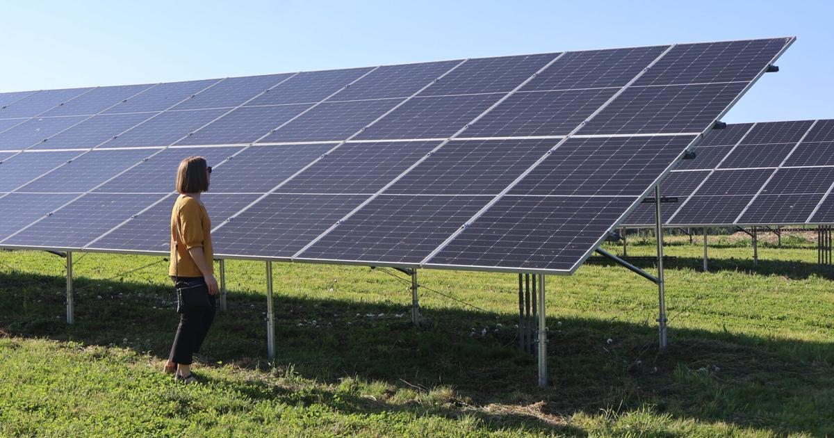 Sun seems to be on the local winery when Debonné gets solar modules | News