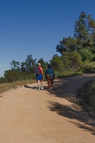The largest city park in America? A case for La's Griffith Park