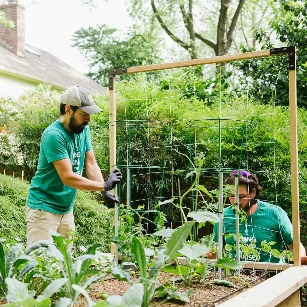 The local company helps the residents to grow their own food