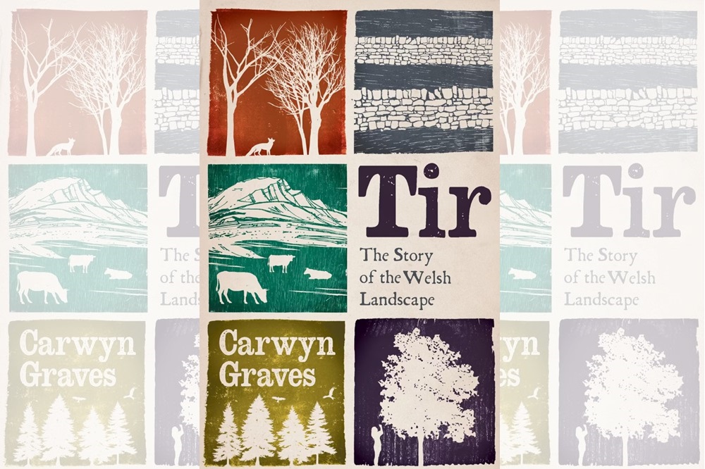 Tir - The history of Carwyn Graves's Welsh landscape