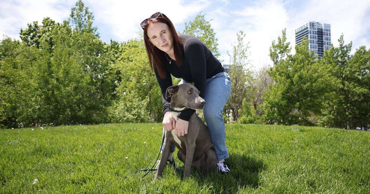 Toronto's residents say that tonal cannons rattle their dogs
