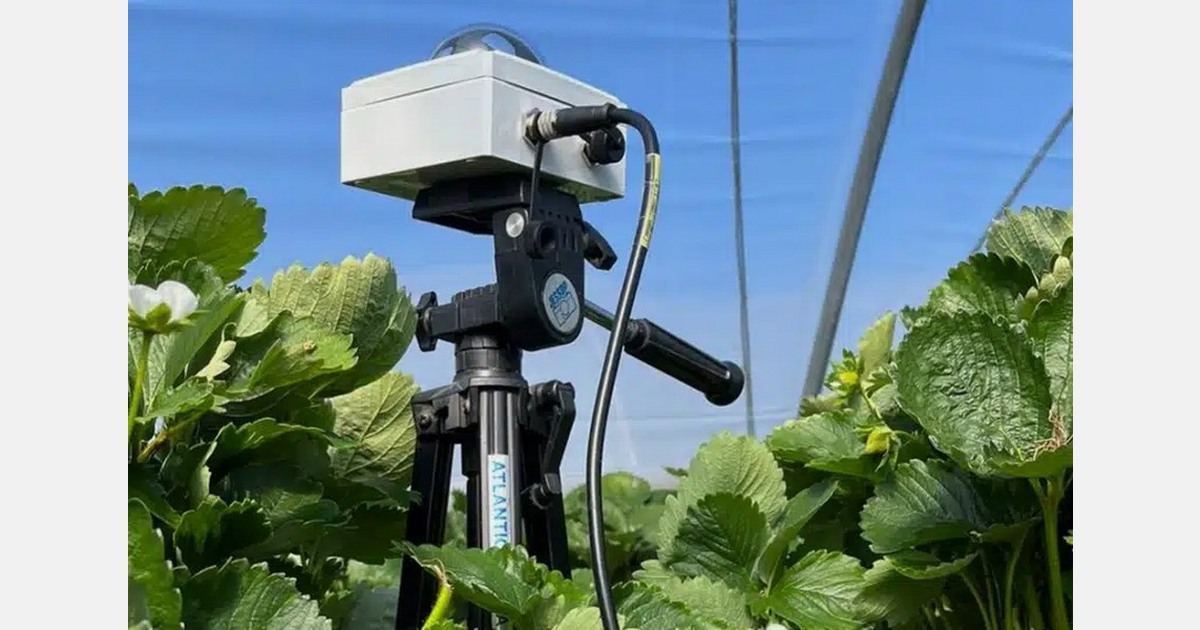 Use of a sun sensor to support the cultivation process