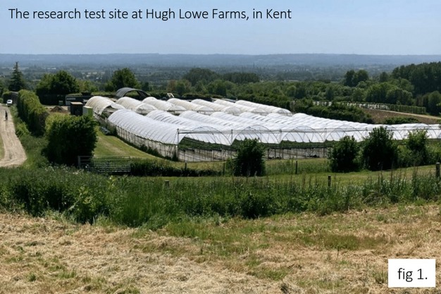 Use of a sun sensor to support the cultivation process