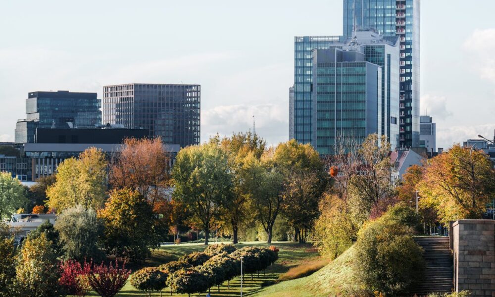 Why cities need more green rooms