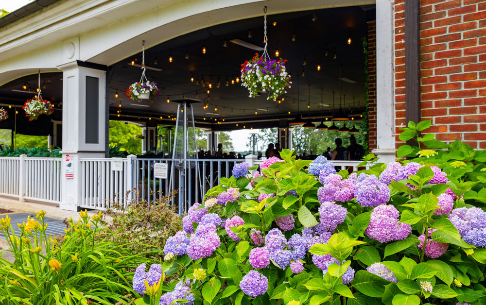 Wny's most fantastic beach terrace opens this week - here is what you need to know