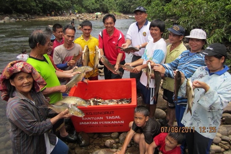 Resuscitation flows: History and success of Sabah Tagal system