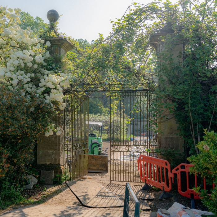 A decorative iron gate surrounded by plants
