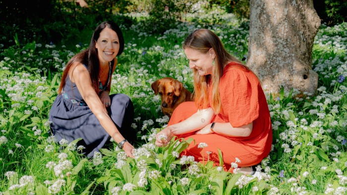 "They are dahlias, tulips and amazing color, but everything is edible"