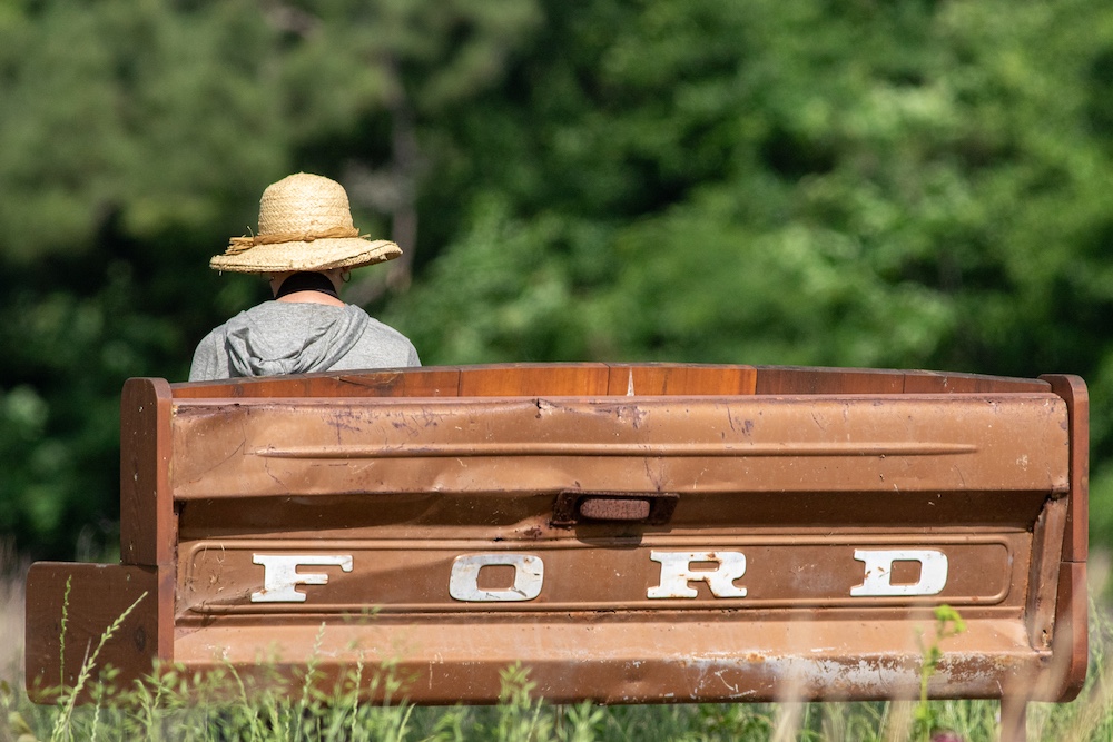 Bayou Land Conservancy protects one of the last prairies in Texas - SafeGuardening animal world and a disappearing landscape