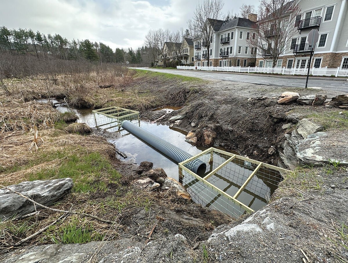 Beavers A dam dilemma for public work in the city