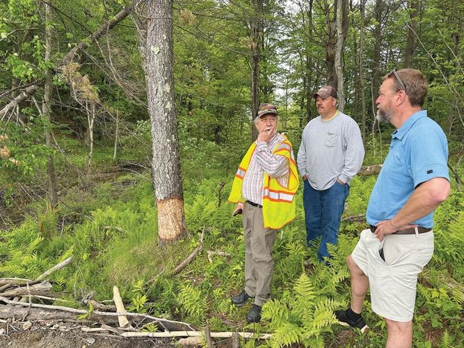 Beavers A dam dilemma for public work in the city