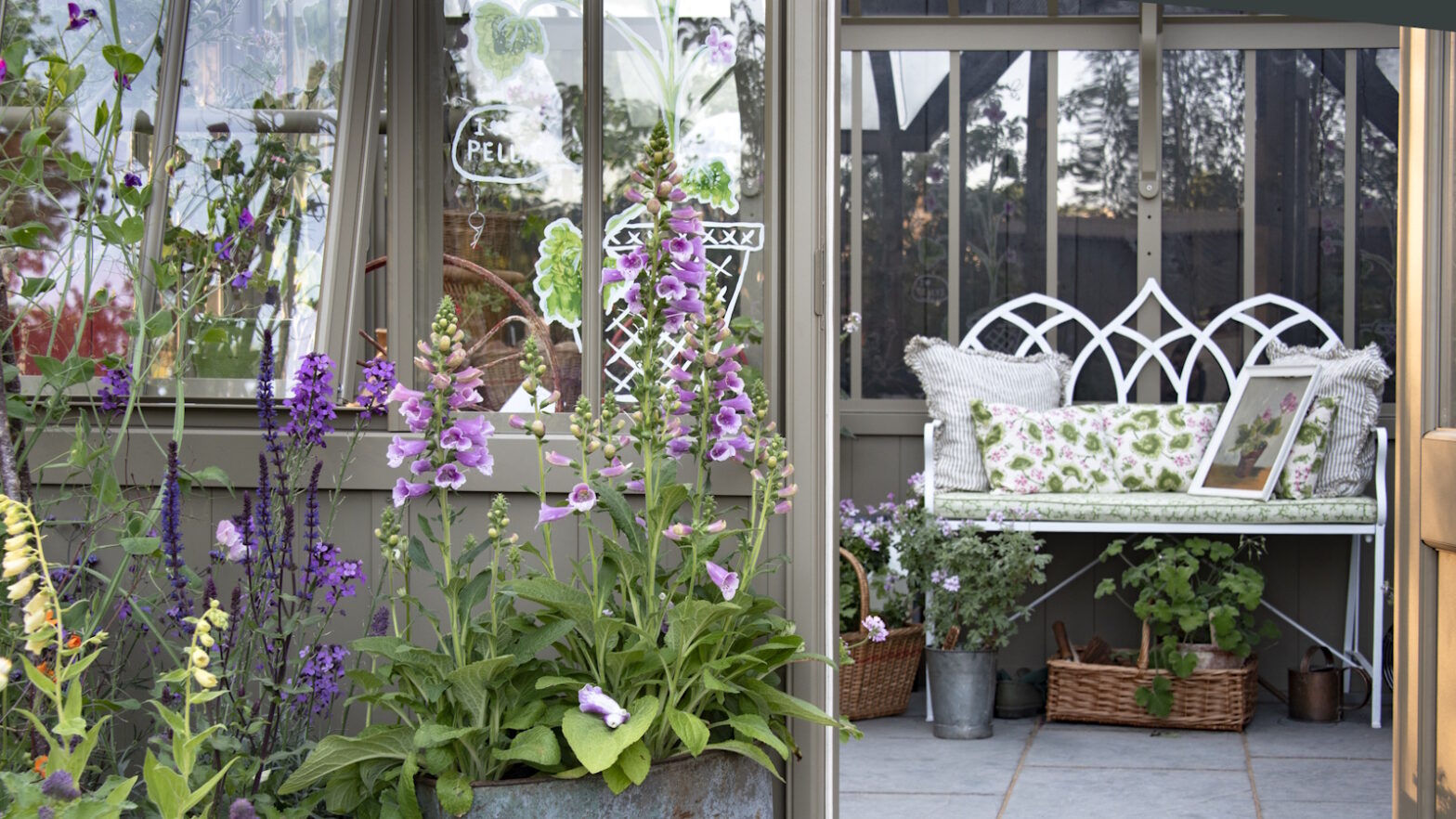 How to use Terrakotta Water Spikes for your container plants