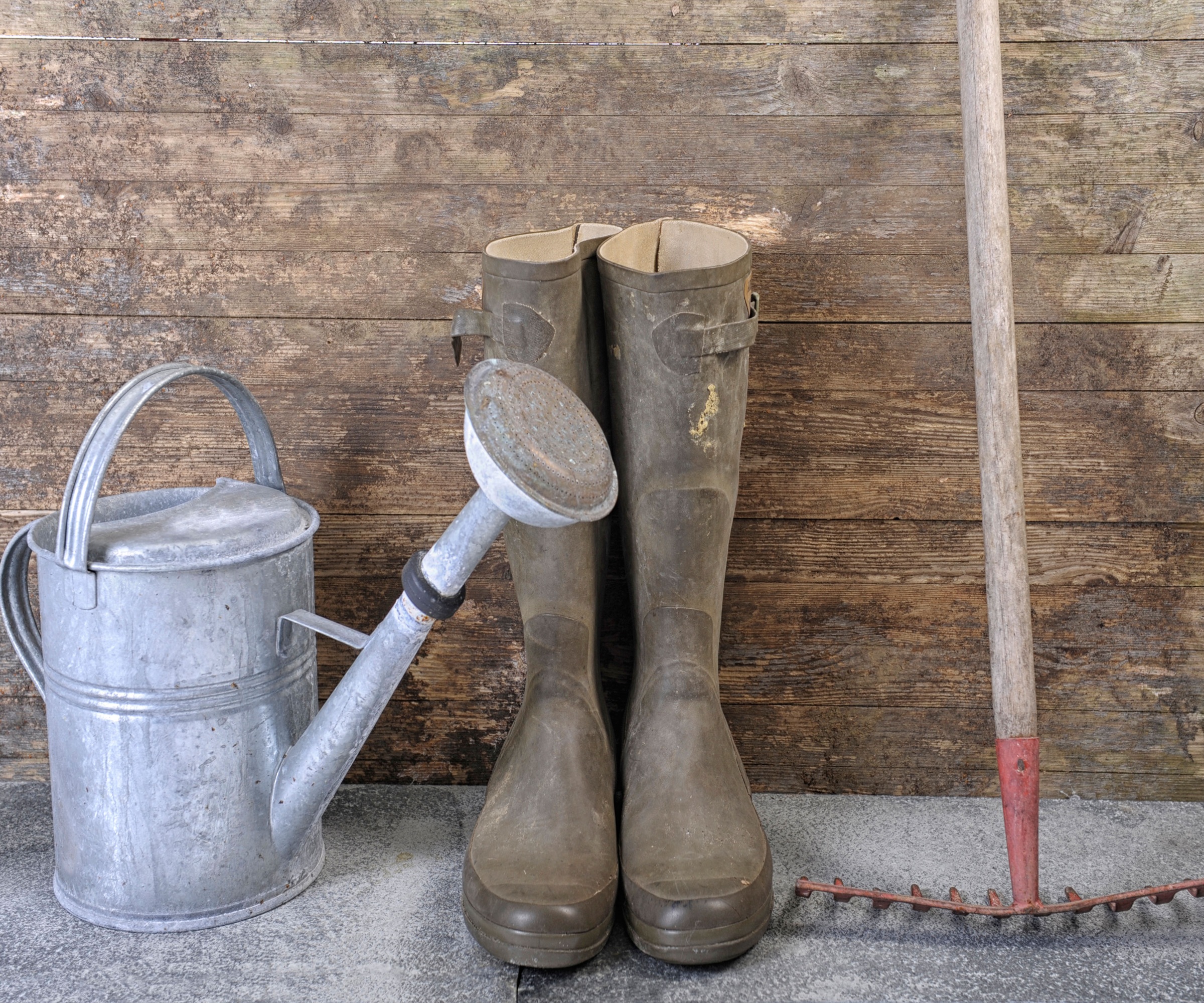 Rubber boots, rake, irrigation, garden tools