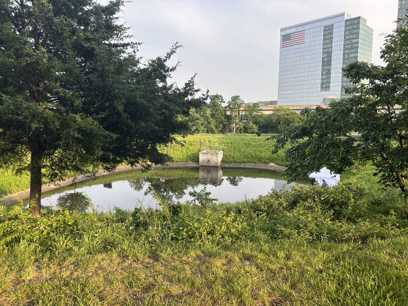 Breaking: The police find a body in Teich near Tysons Galleria