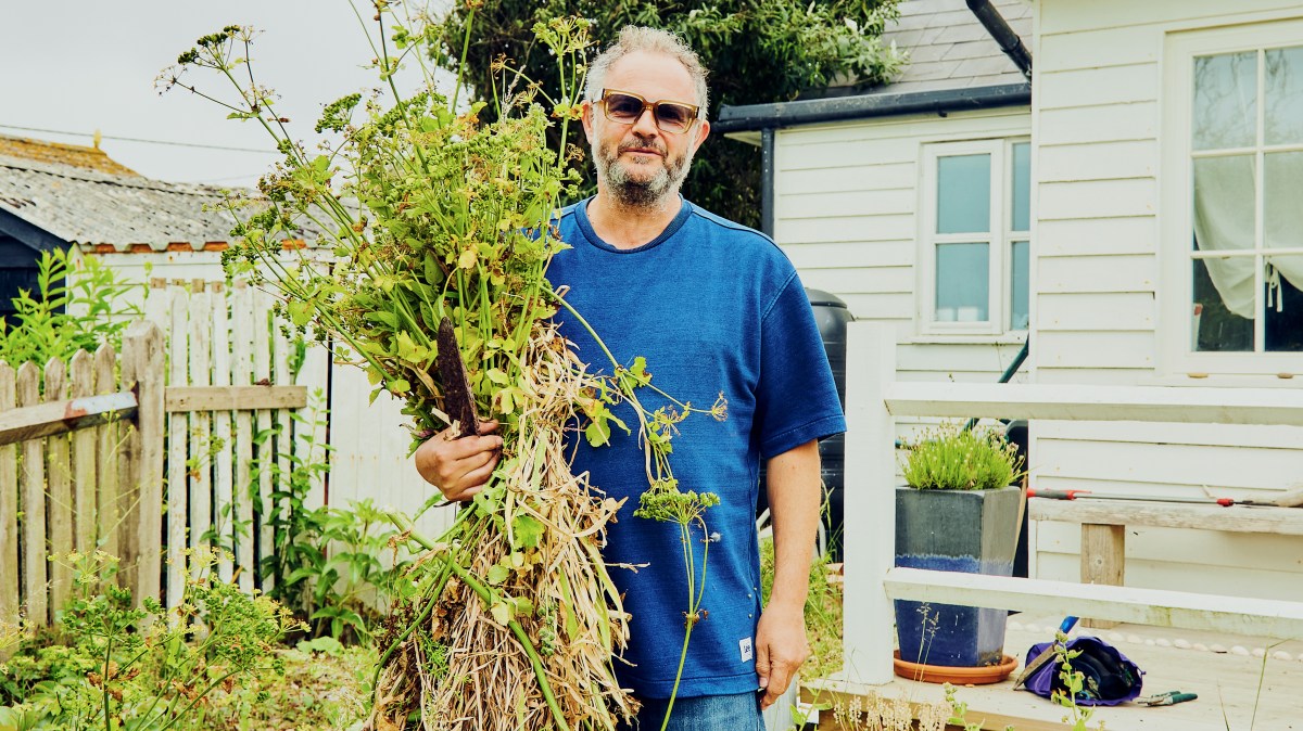 From invited editors to garden festivals