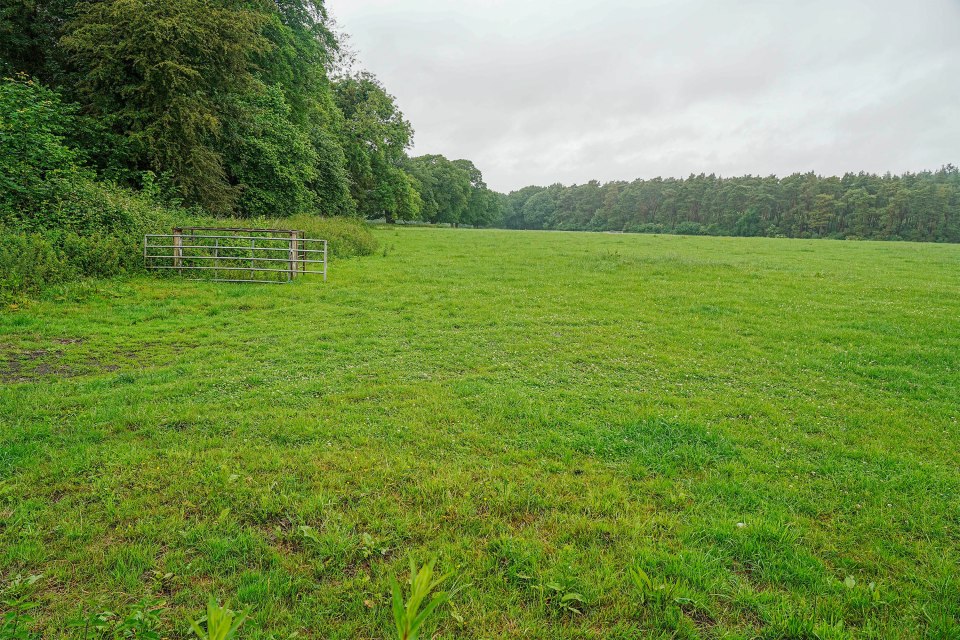 Field with a metal gate and trees in the background.