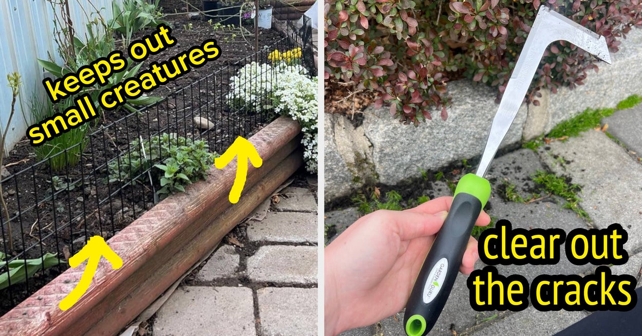 23 Budget -friendly things to change your garden