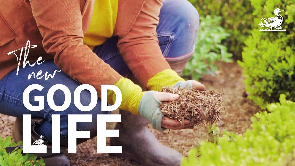 Video Player poster picture Preview for the new good life: How you can improve the ground health of your garden