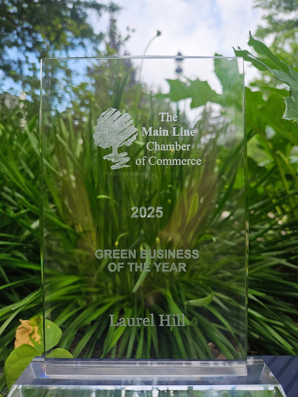 Laurel Hill announced as "Green Business of the Year" from the main line chamber of the Chamber of Commerce