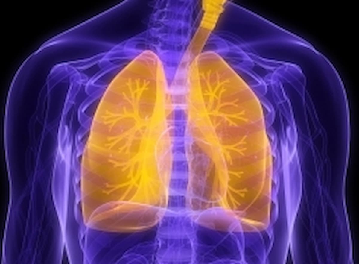 Management of AES and the formation of patients