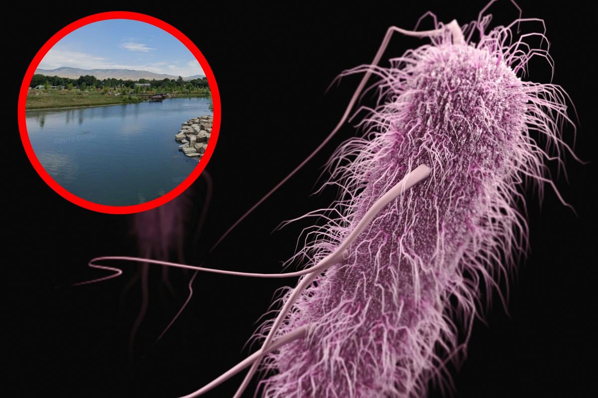 Popular Boise Pond tests positively on dangerous bacteria