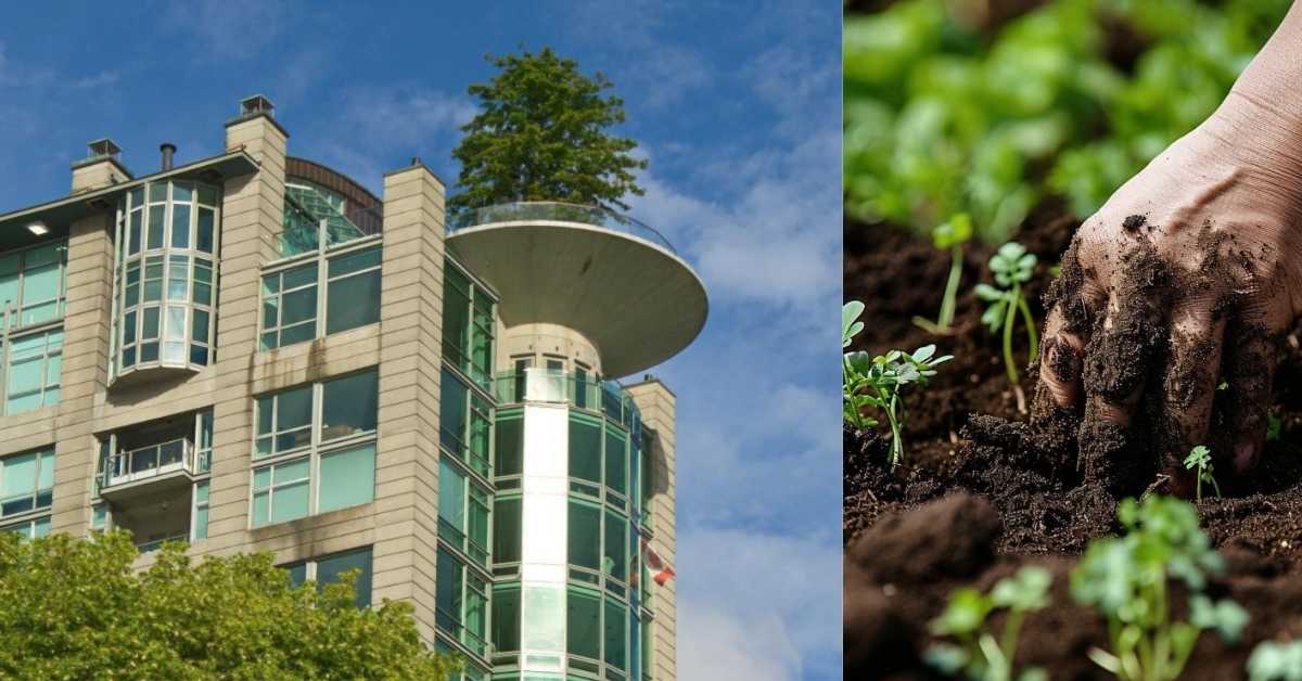 Planting on your roof can contain microplastics by 97.5%