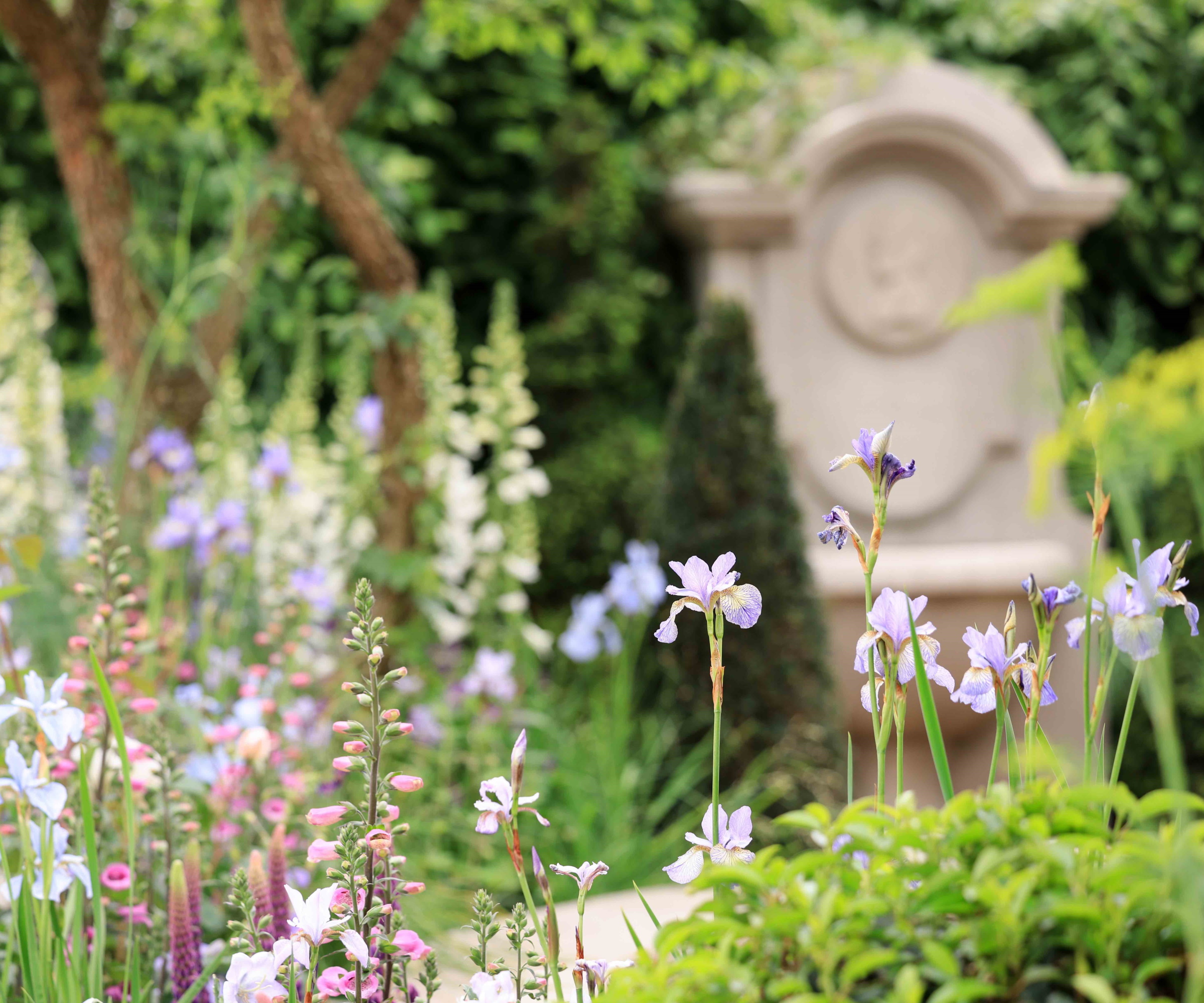 Irish and Foxguloves used in the Bridgerton garden