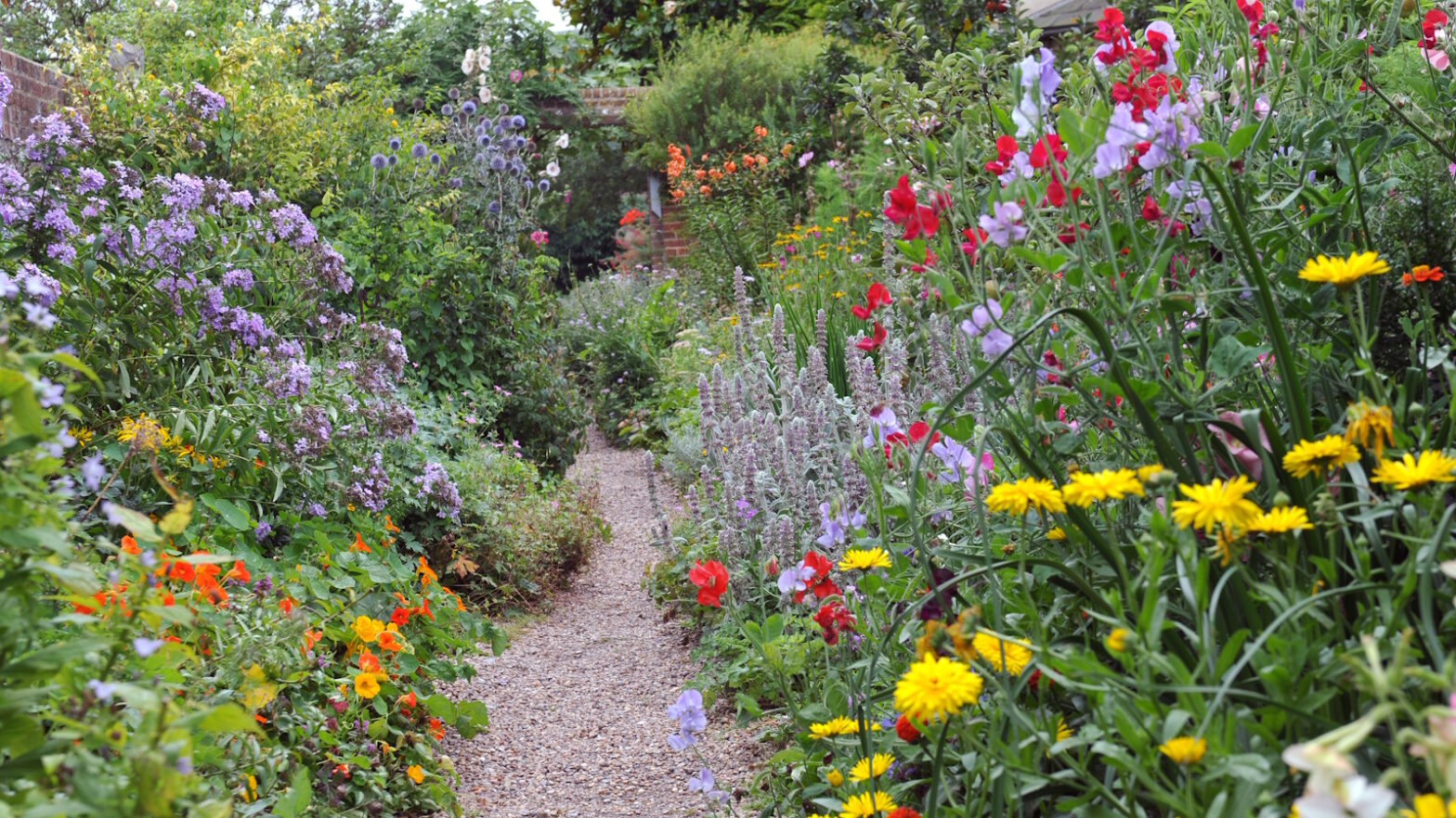Why you have to carry out the Hampton hack this July to fully activate the potential of your garden