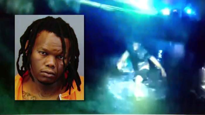 Alleged tire thief arrested after swuming over the pond to avoid the police