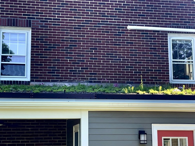 Boston tries to find buyers for green roof grants